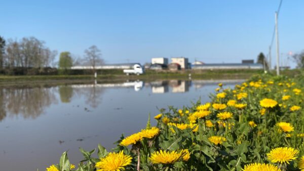 ゴールデンウィークも明日で最終日