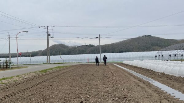 播く、植える、耕す